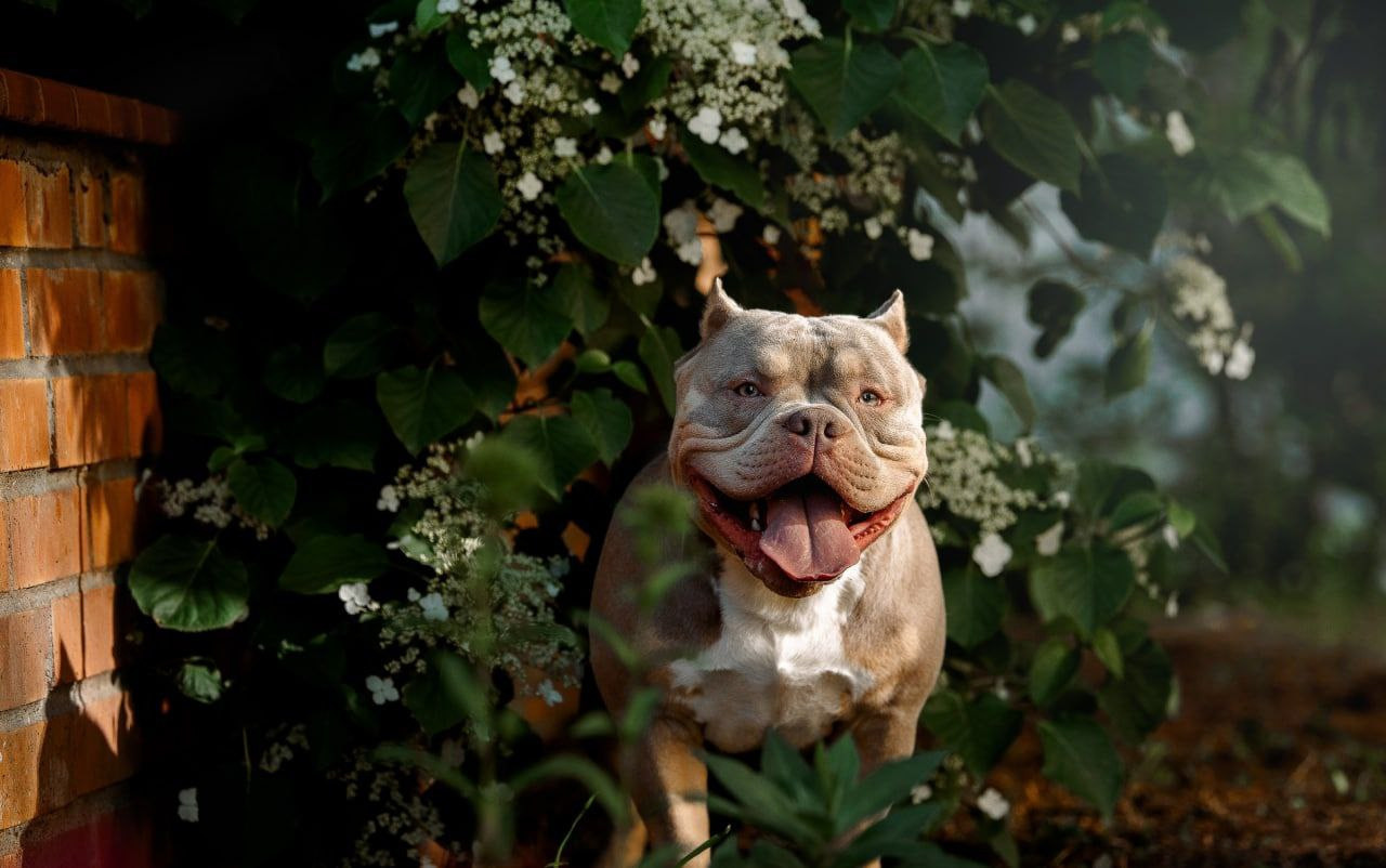 Лаиса Зернова. Фото школа, обучение фотографии в Калининграде