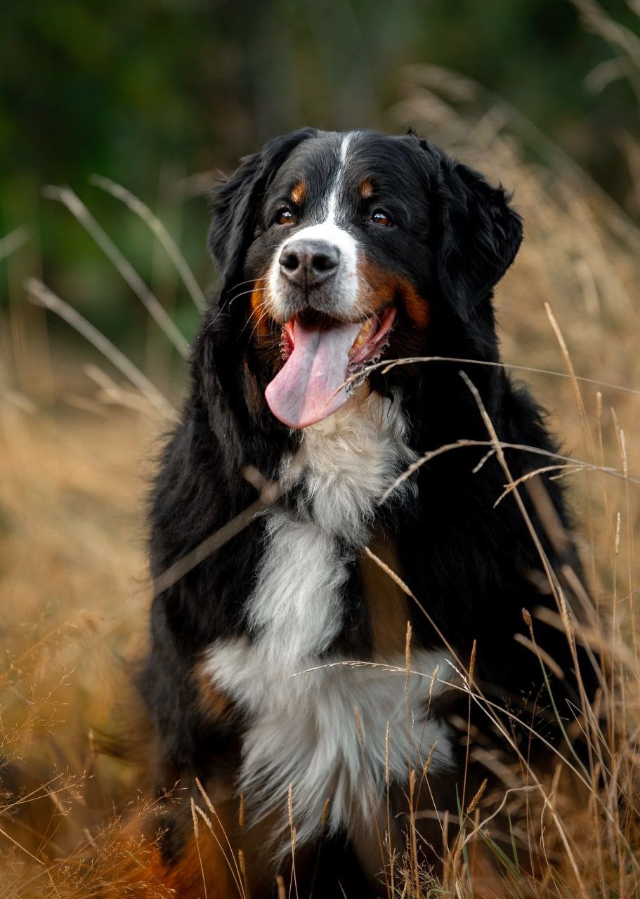 Лаиса Зернова. Фото школа, обучение фотографии в Калининграде