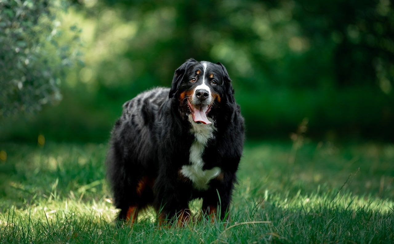 Лаиса Зернова. Фото школа, обучение фотографии в Калининграде