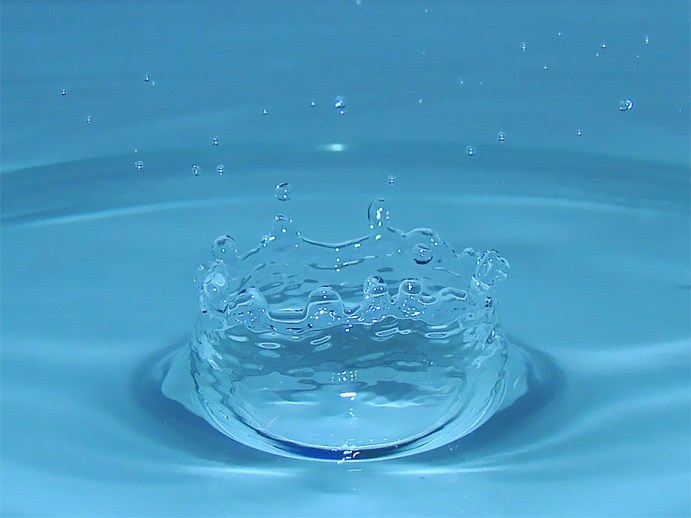 Самые первые мои фотографии. Елена Берсенева, фотограф