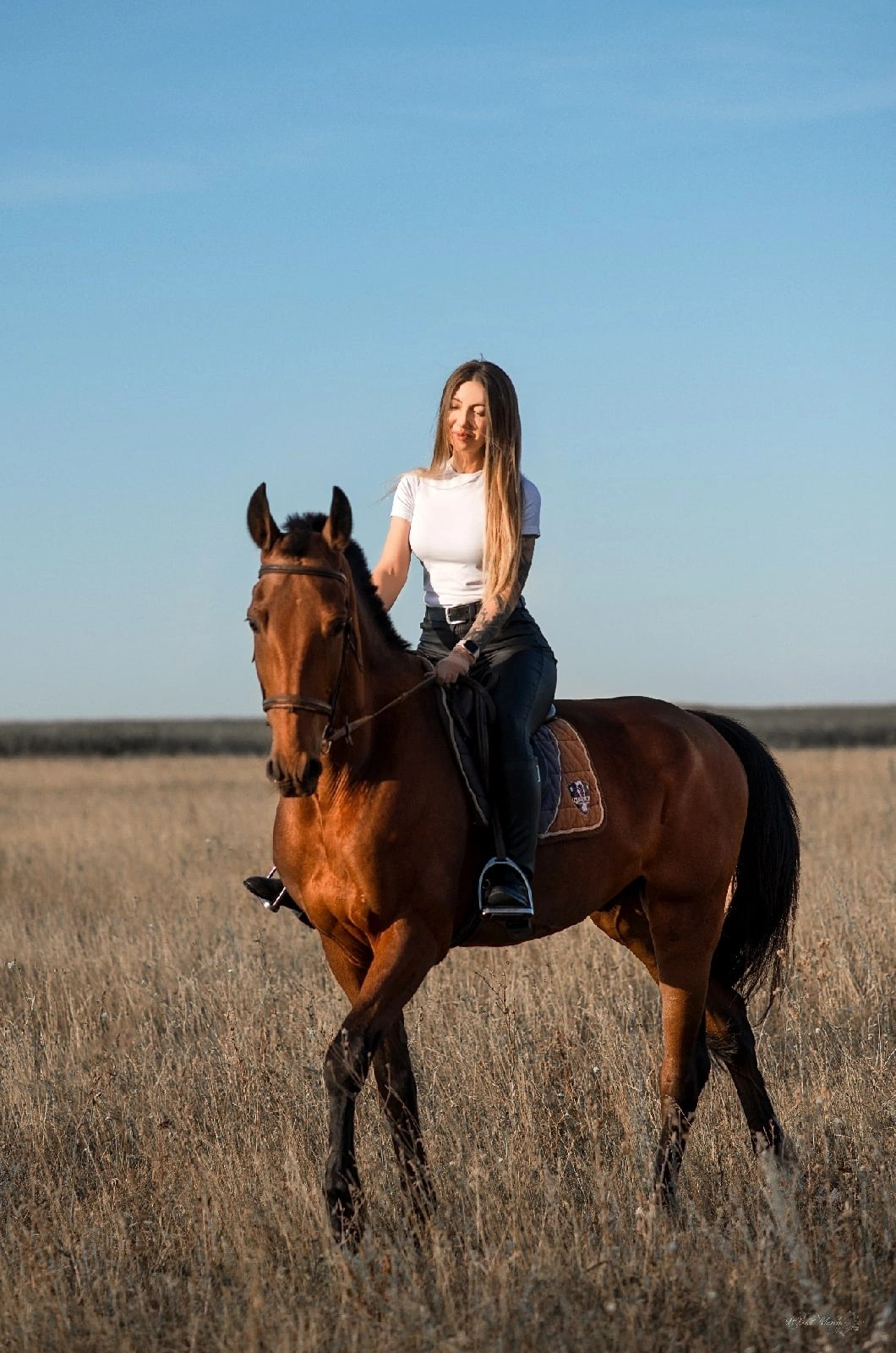 Юлия и Финист. Конный фотограф в Саратове Юлия Иванова