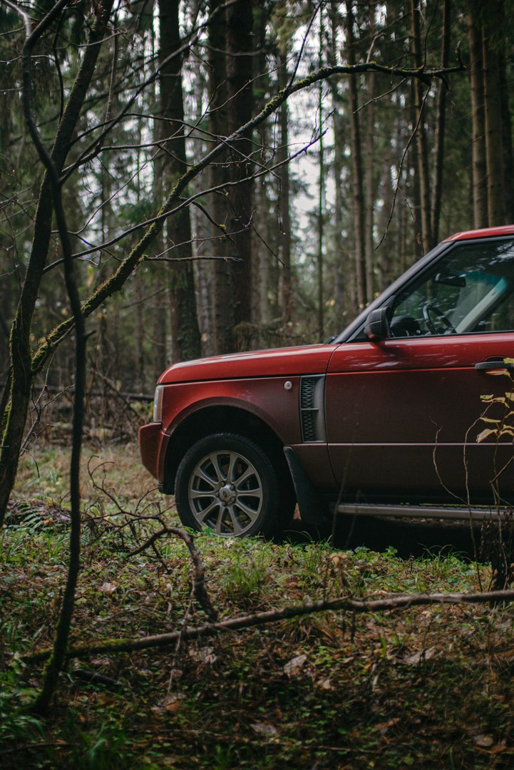 Фотосъемка джипа Range Rover в лесу. Жуков Илья  свадебный фотограф в Москве