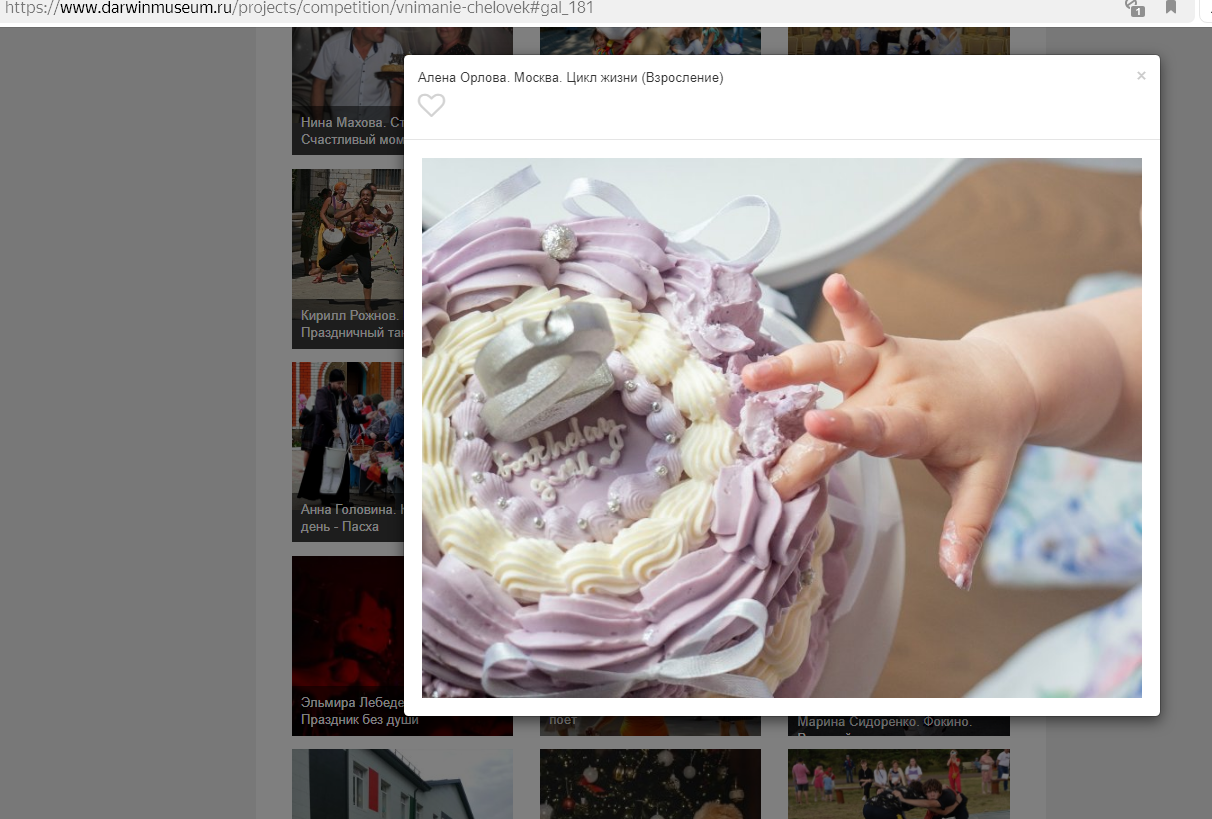 Выставка в Дарвиновском музее. Алёна Орлова Портретный фотограф Москва