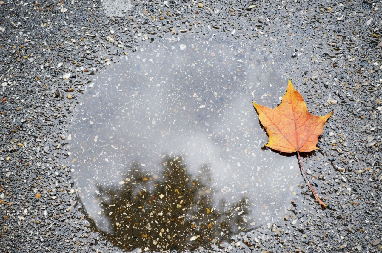 Природа. Анастасия Куц | фотограф | Пермский край