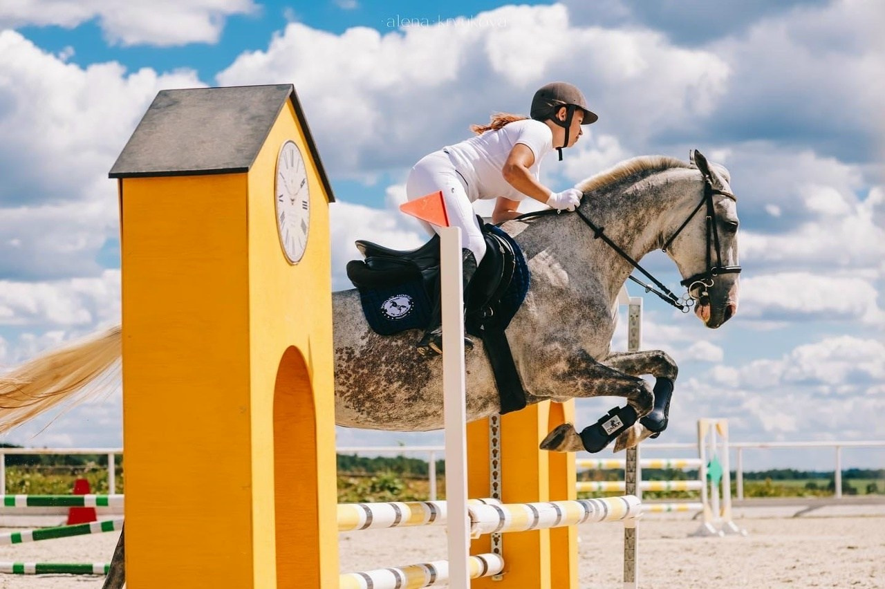 Летние соревнования. Фотосессии с лошадьми