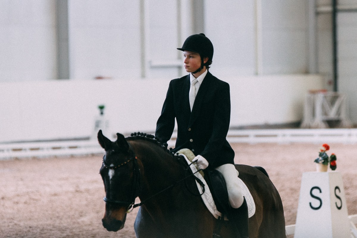 Выездка КСК «Дерби». Репортажный и семейный фотограф в Санкт-Петербурге Тарас Марченко