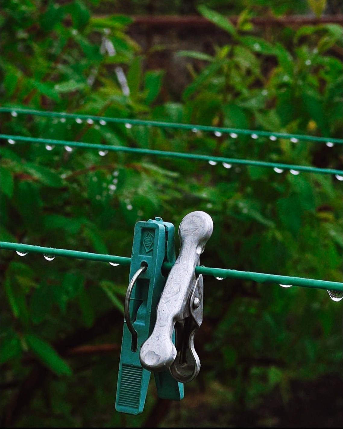 Мой мир. LAMOURCEVA | fashion photographer