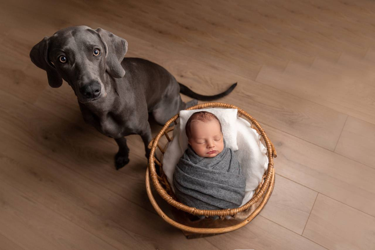 NEWBORN Мальчики. Фотограф новорожденных в Москве и области Мария Самсон