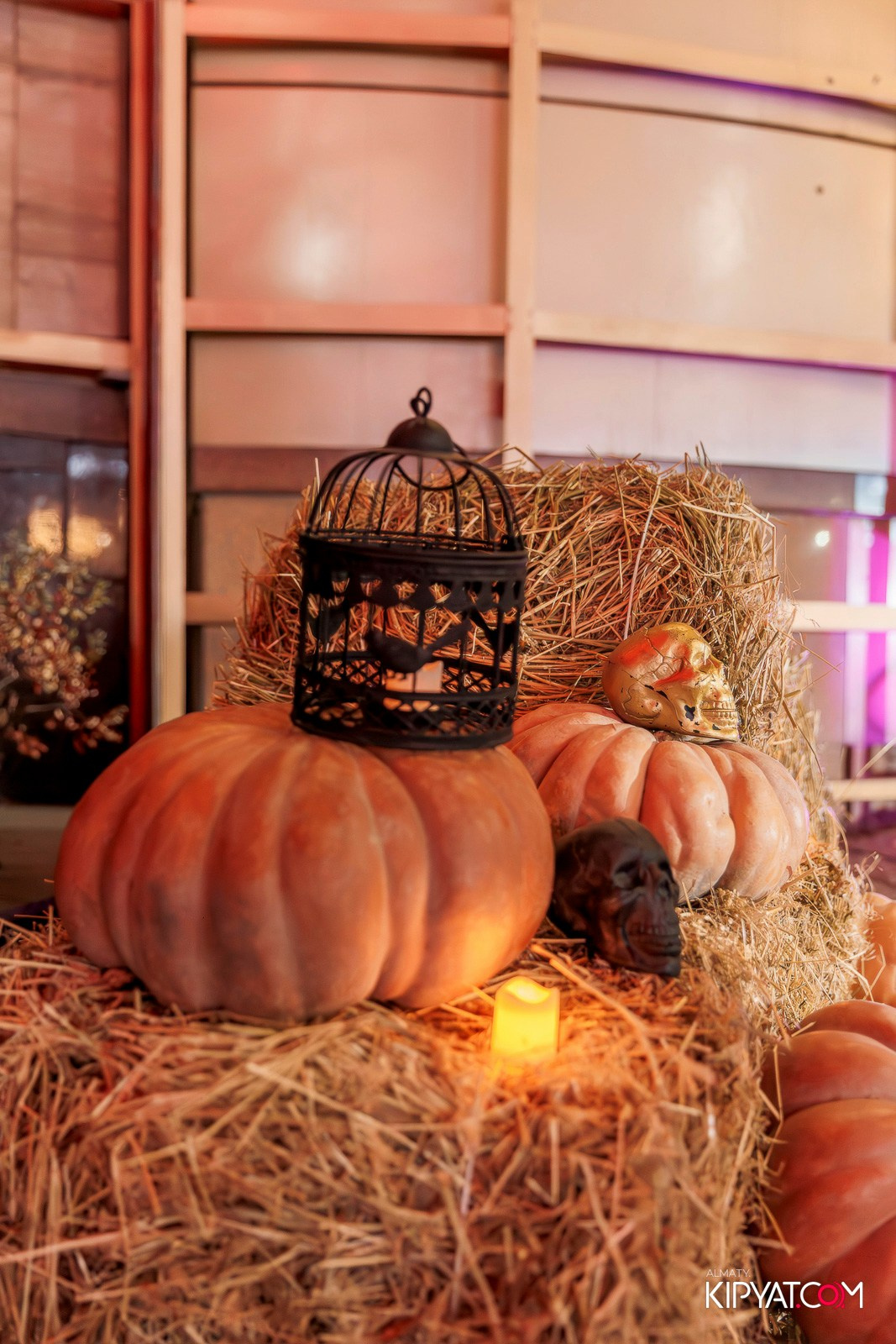 HALLOWEEN PARTY — OLOVO BAR НА ДОСТЫК. КИПЯТКОМ АЛМАТЫ!