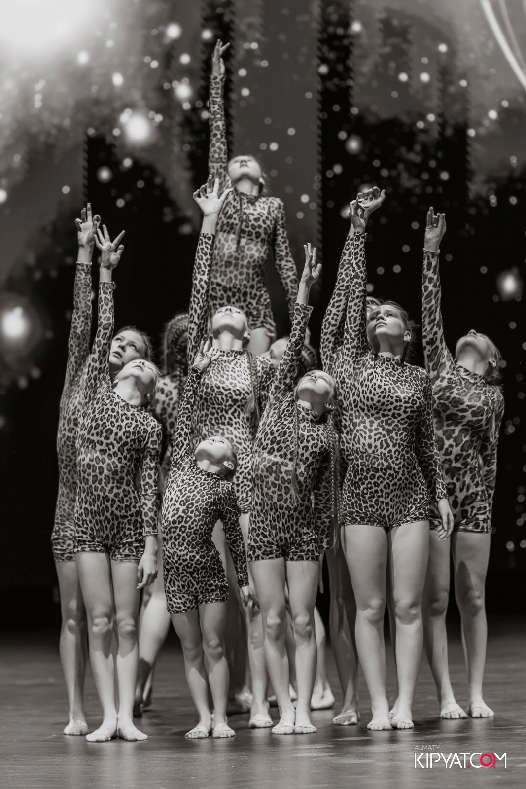 XXI INTERNATIONAL EUROPEAN FESTIVAL ARTS GERMANY-KAZAKHSTAN #ПРОЕКТЫЗИМИНА. КИПЯТКОМ АЛМАТЫ! Фотосъемка мероприятий в Алматы