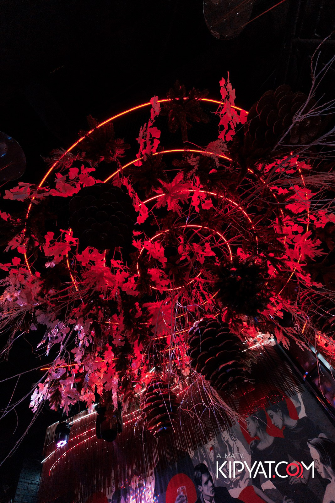 FRIENDS BAR & TERRACE. КИПЯТКОМ АЛМАТЫ!