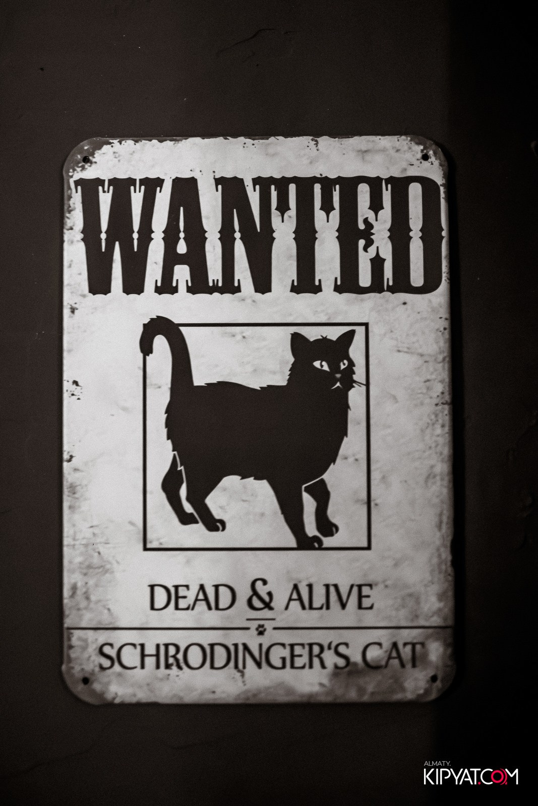 MERRY CREEPYSTMASS AND SPOOKY NEW YEAR — QUEEN OF THE DARKNESS BAR. КИПЯТКОМ АЛМАТЫ!