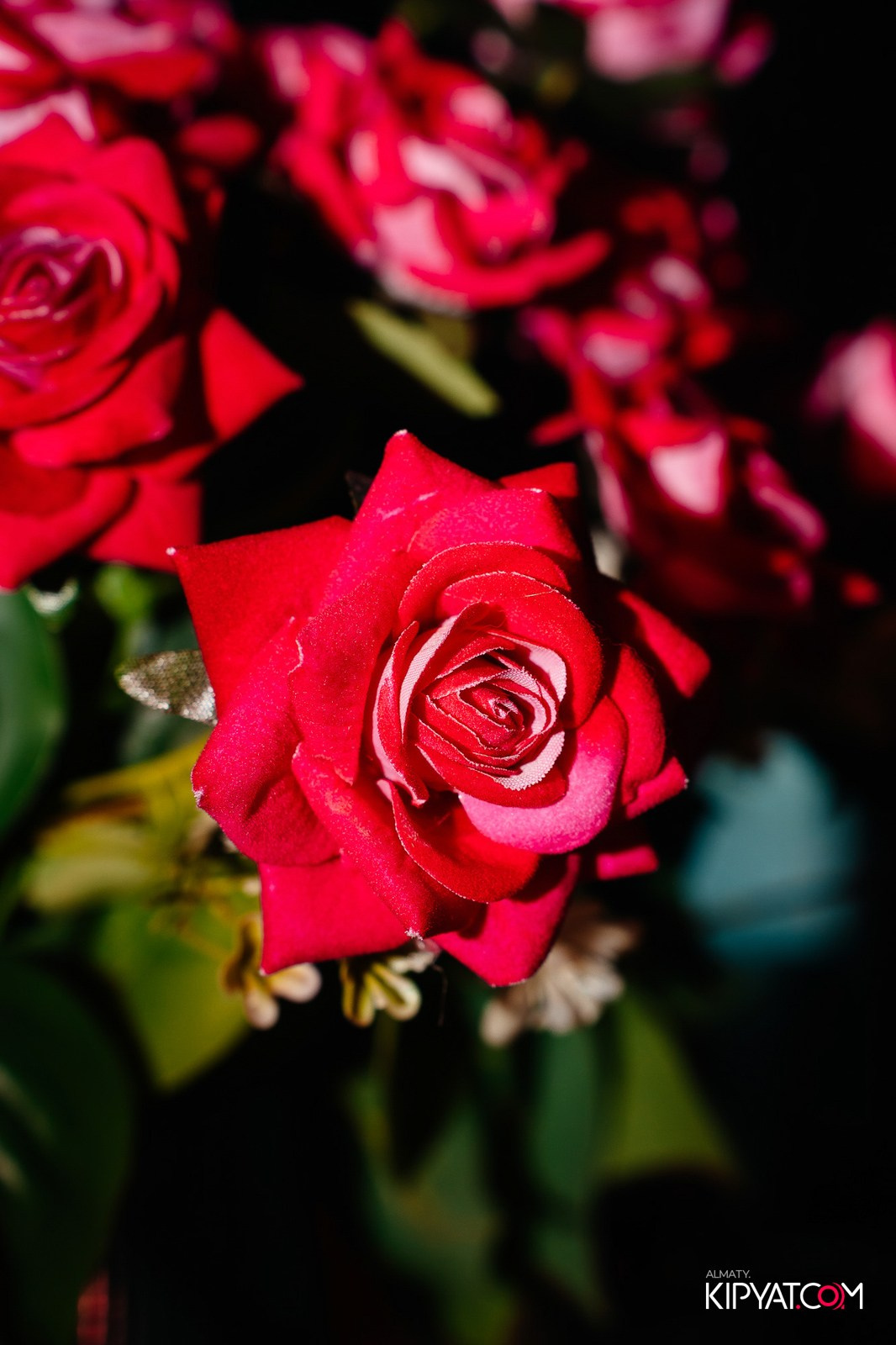 LOKO BAR. КИПЯТКОМ АЛМАТЫ!