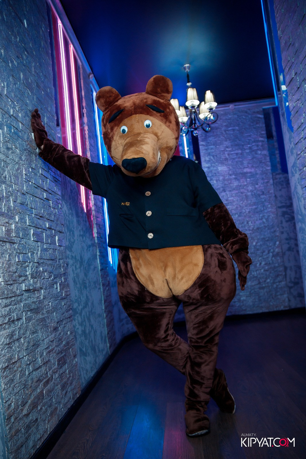 УХО И МЕДВЕДЬ НА ГАГАРИНА. КИПЯТКОМ АЛМАТЫ!