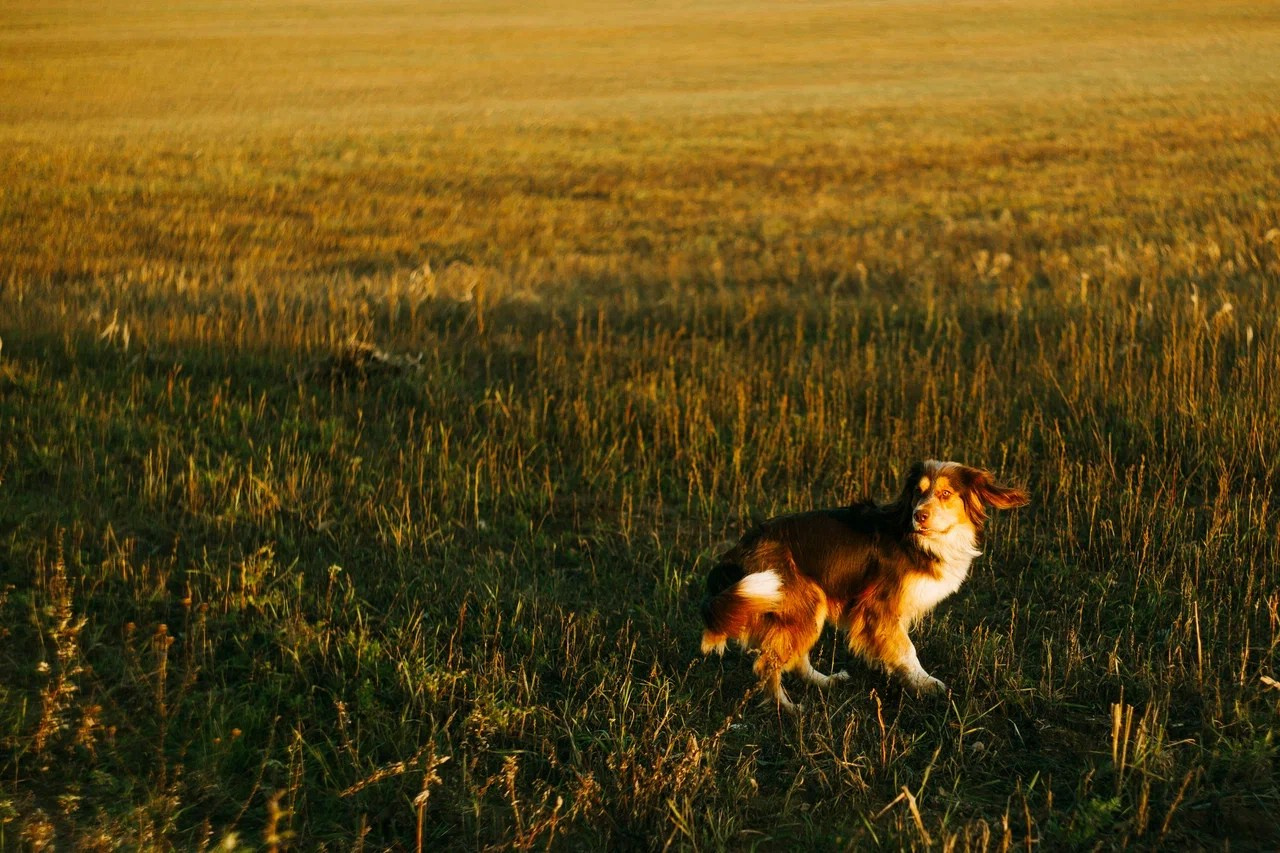 Полушкинские каменоломни. Ваш портретный фотограф в Москве Катя Прокофьева