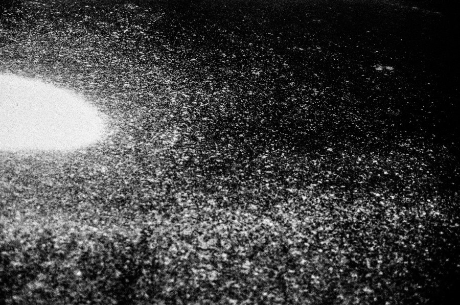 Summer Shore. Vitaly Severov