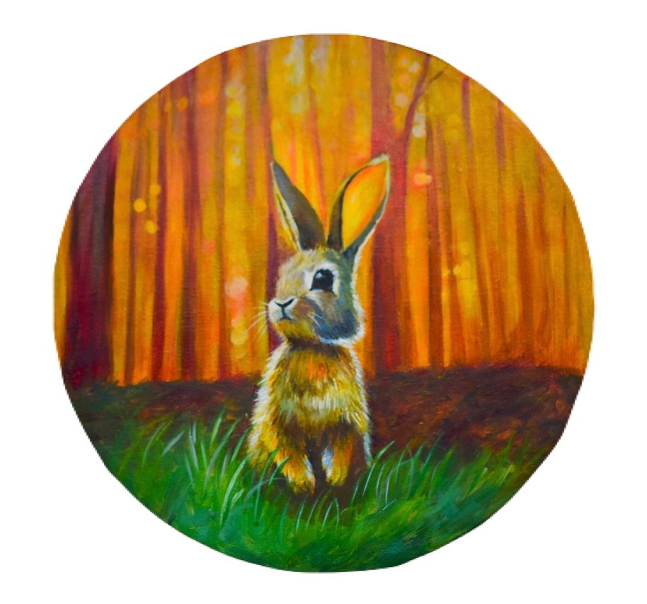 Иллюстрации. Фотограф в Санкт-Петербурге