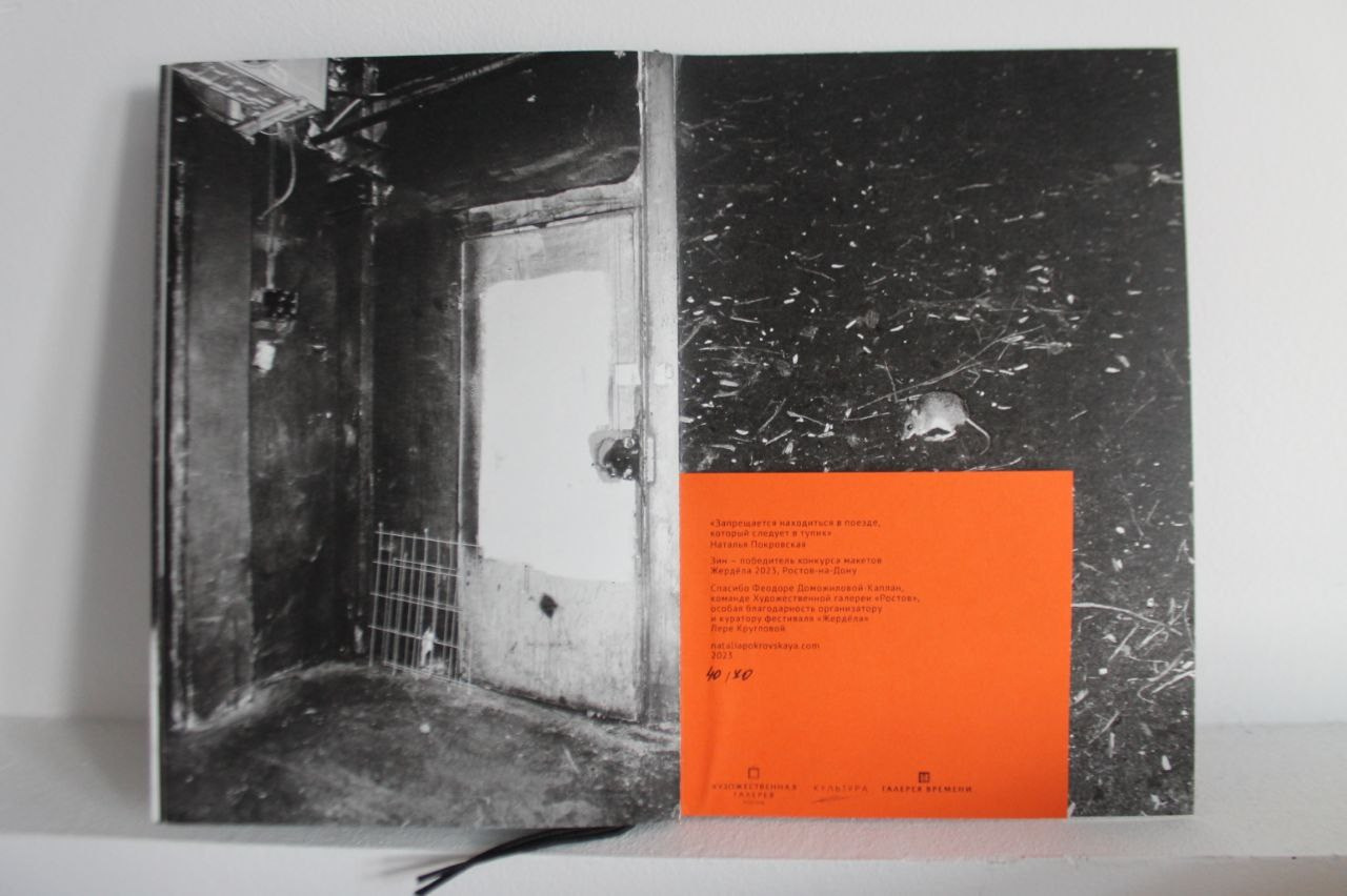 «Жердёла», зин-фестиваль, 26.07-04.08.2024, арт-пространство «Кислород», Ставрополь. Лера Круглова