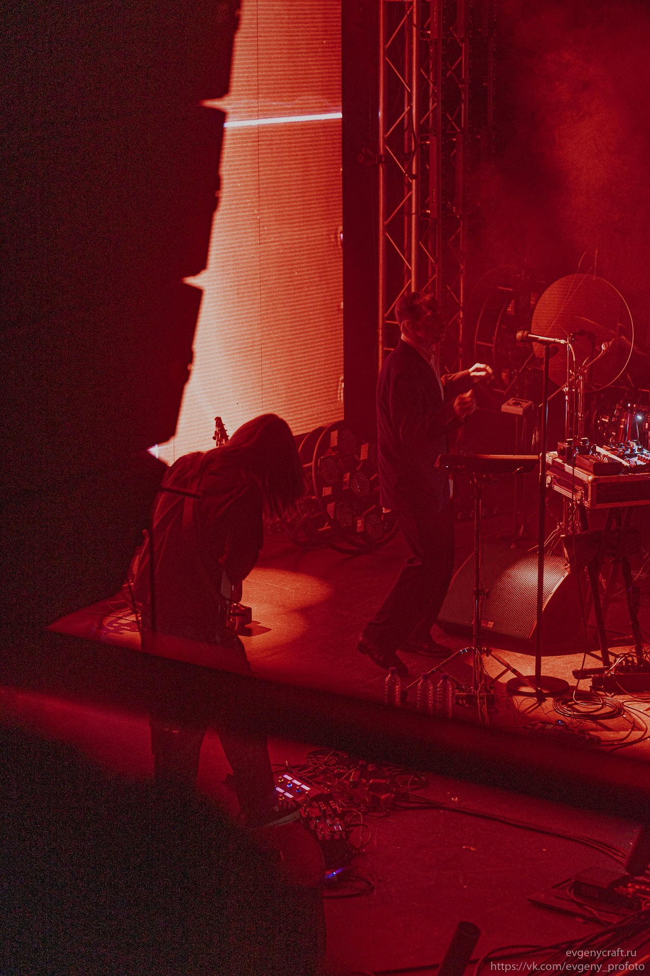 Dolphin 14 feb 2026. EvgenyCraft