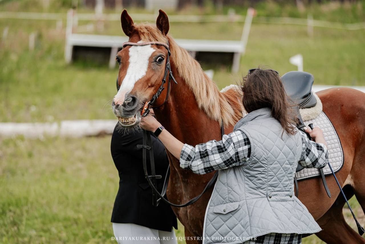 ЛЕТНИЙ КУБОК по КОНКУРУ, КСК «СОЗВЕЗДИЕ». Куракина Дарья • Конный фотограф