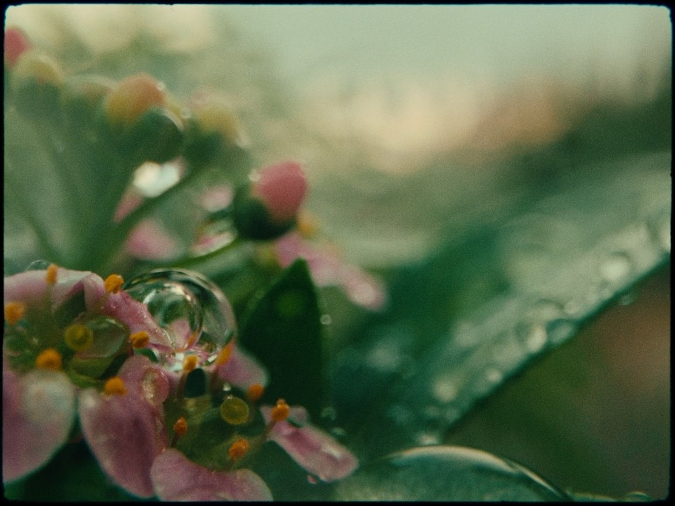 Color Theory. TENZO | Creative Producer / Art Director