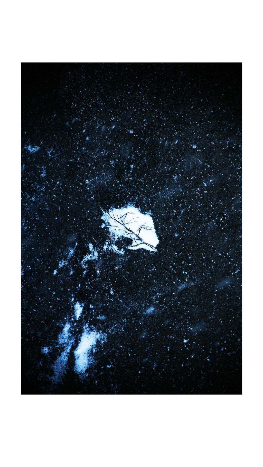 «Не выходя из дома». Главная