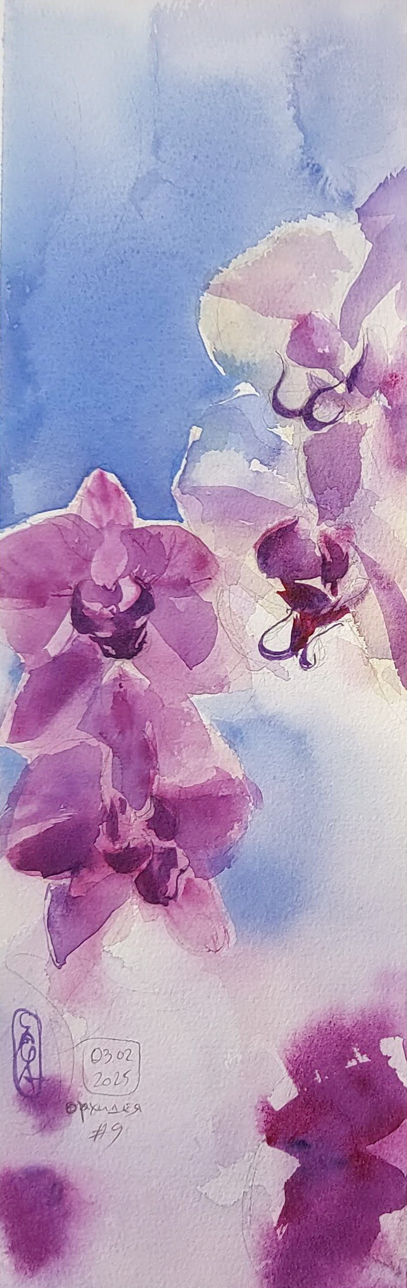 Flowers. Alexander Manaenkov | Watercolor Artist from Siberia