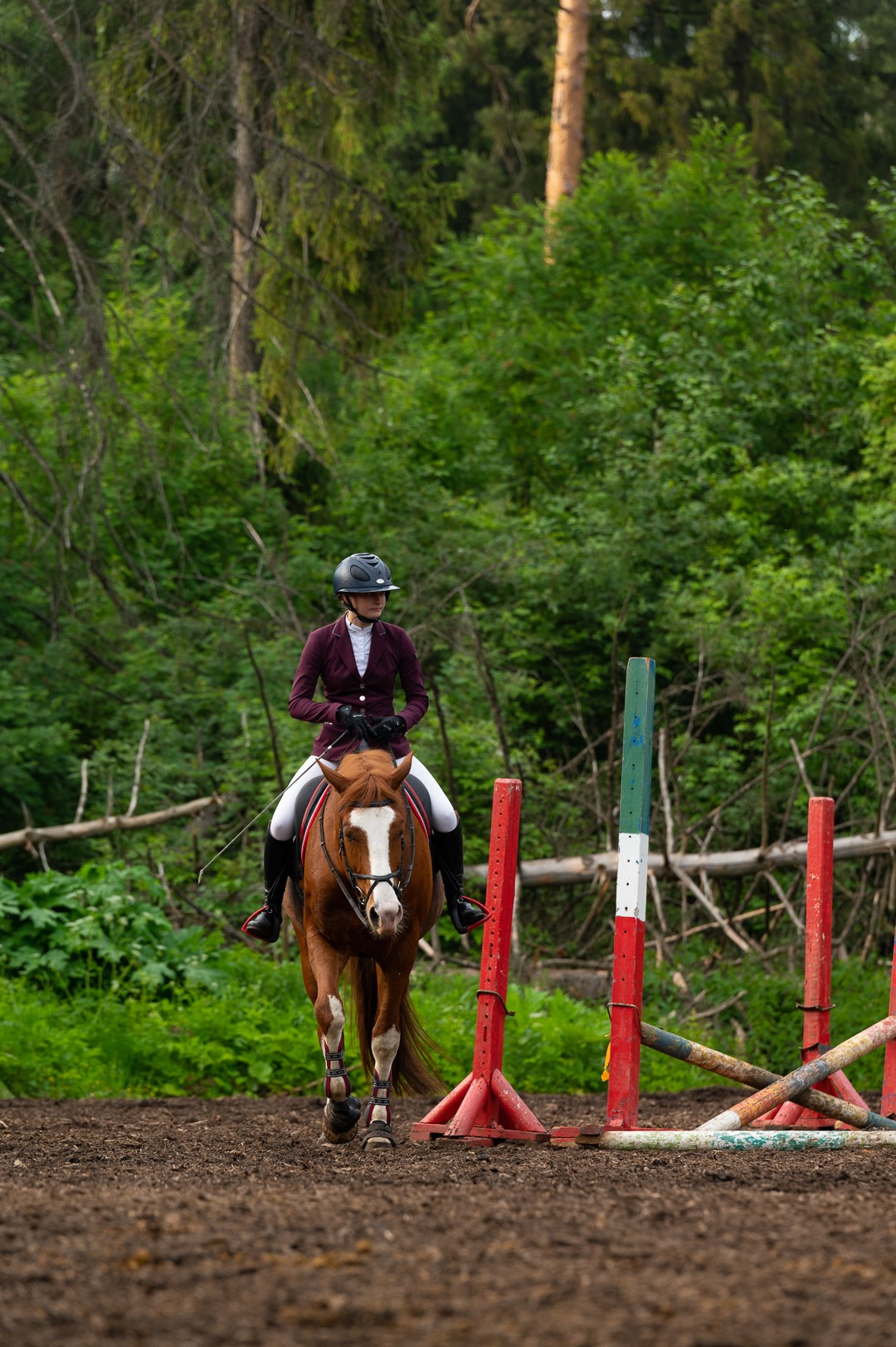 Конюшня. Мир живой фотографии о Вас и для Вас