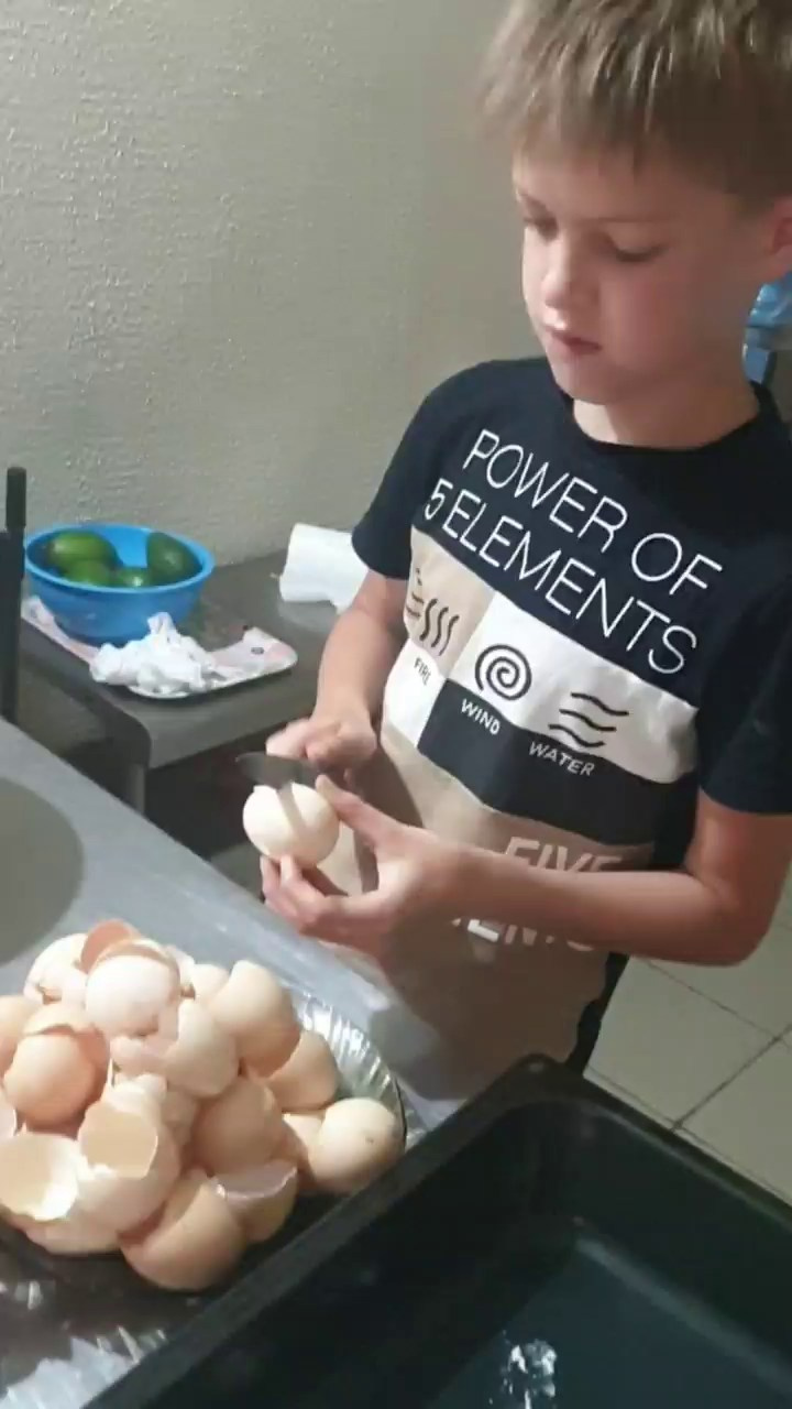 Летний лагерь 2025