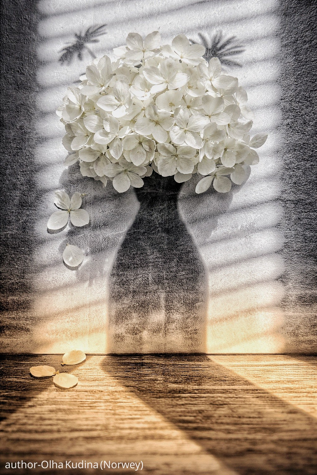 Gallery. UNUSUAL TALENT magazine