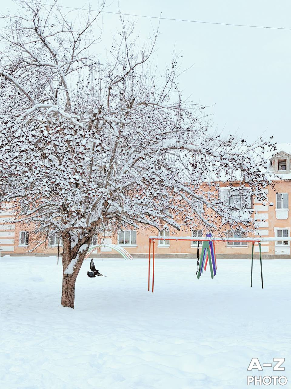 #ФОТОНЕДЕЛИ 26.01.2026. Женский семейный фотограф Тула Москва Захарова Анна