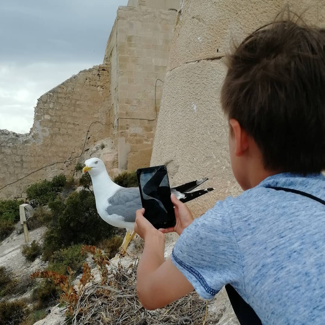 Anka`s Instagram. Заставка