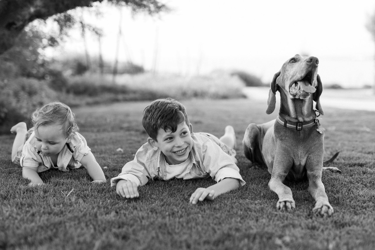 Отзывы. Family photographer in Israel | Alesya Superfin