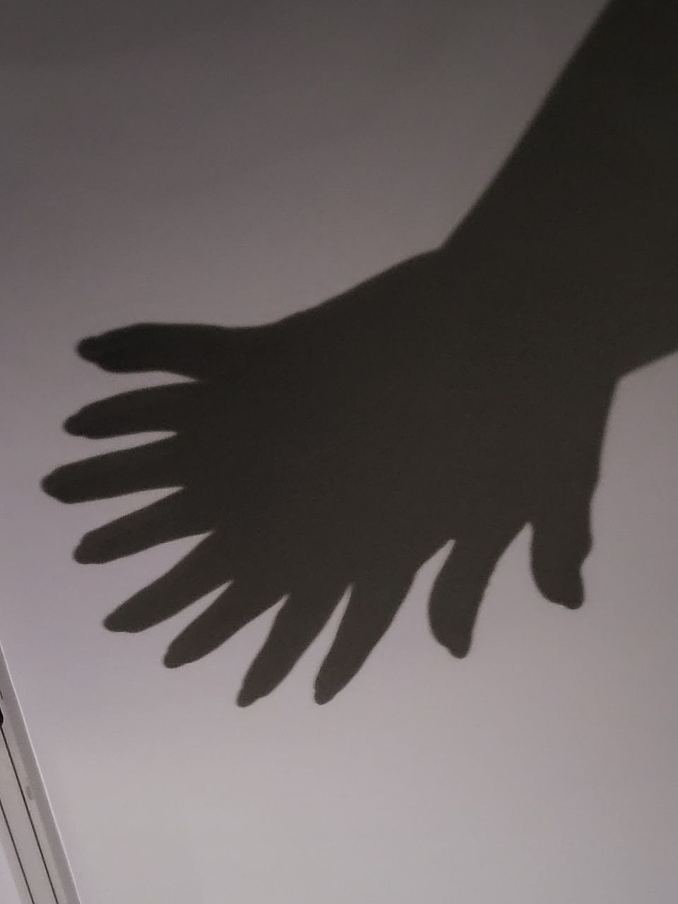 Проект «366»|2024|Фото каждый день. LENA GRACE photographer ||ЛЕНА ГРЭЙС фотограф