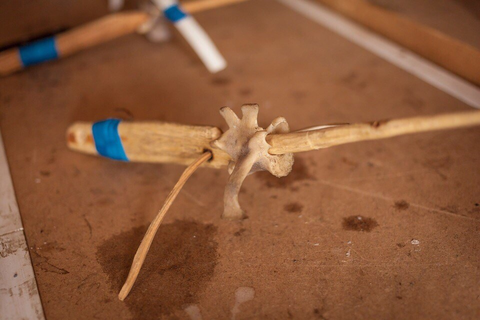 съёмка для контента на Алтае. фотограф портретов на Алтае. портретный фотограф на Алтае. фотограф для бизнеса на Алтае.