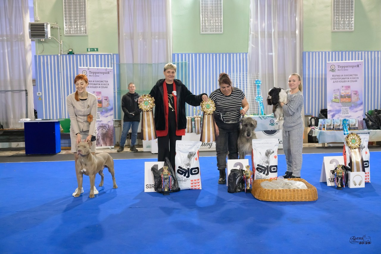 💕Отзывы. Фотограф анималист Елена Галдина г. Красноярск