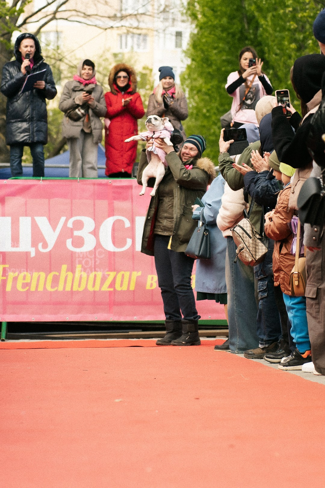 Парад Бульдогов. Axenov_eugene