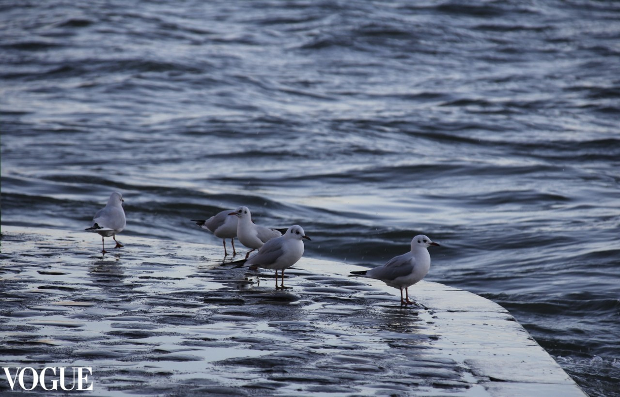 Мои публикации в журнале Vogue. Семейный и детский фотограф в Ярославле Елена Макшеева