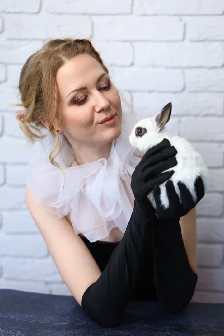 Фотодень с кроликами в фотостудии Glory. Самоед Новосибирск