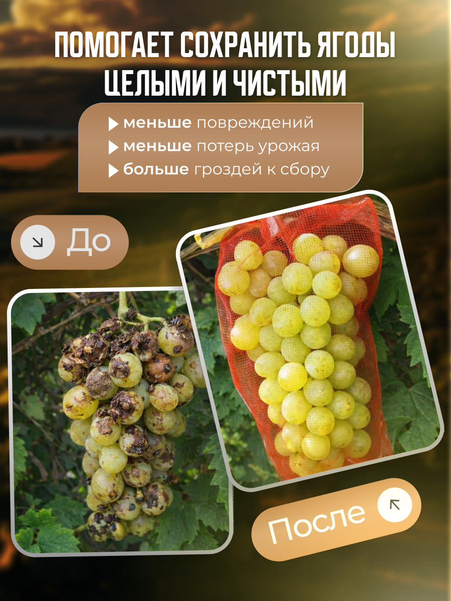 Инфографика | Карточка товара | Сад и огород. Графический дизайнер AI в Москве Валерия Кос