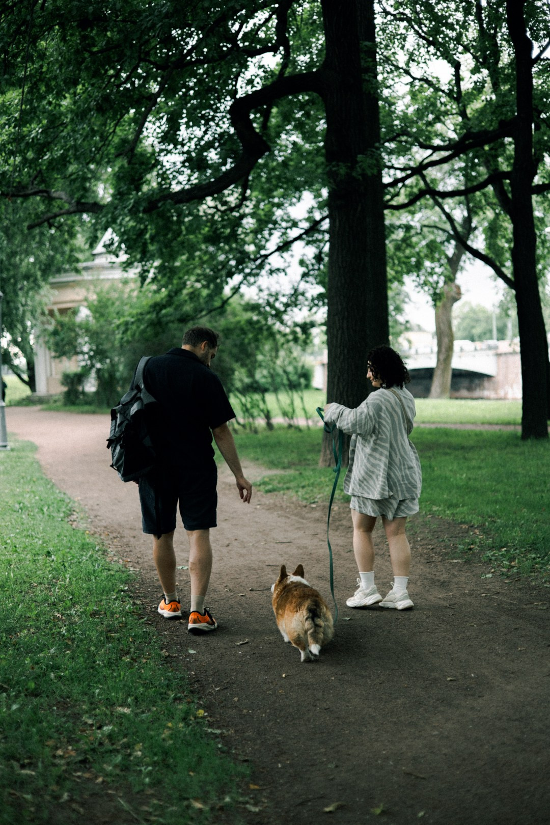 Dogs. Юлия Астра: Фотограф в Санкт-Петербурге. Снимаю женские портреты, уличные съёмки в Петербурге и людей с их собаками