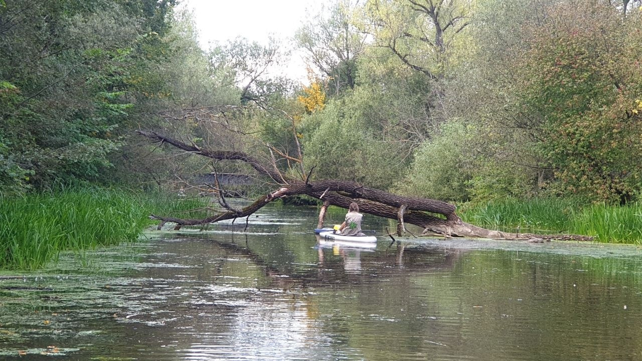 Сплав на сапах | 03.09.2023. Галерея Фантим