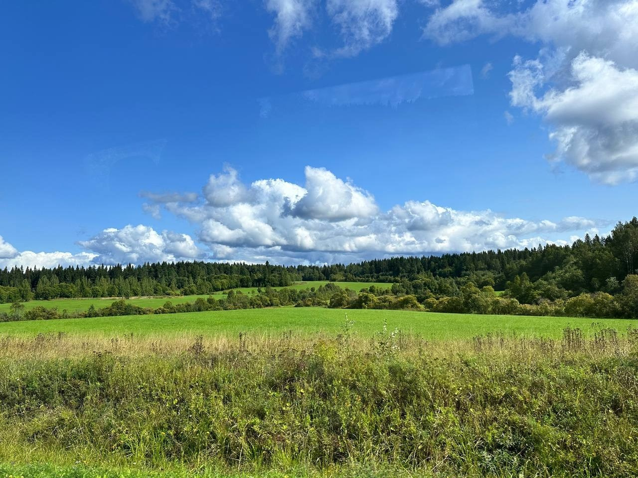 Карелия | 16-18.08.24. Галерея Фантим