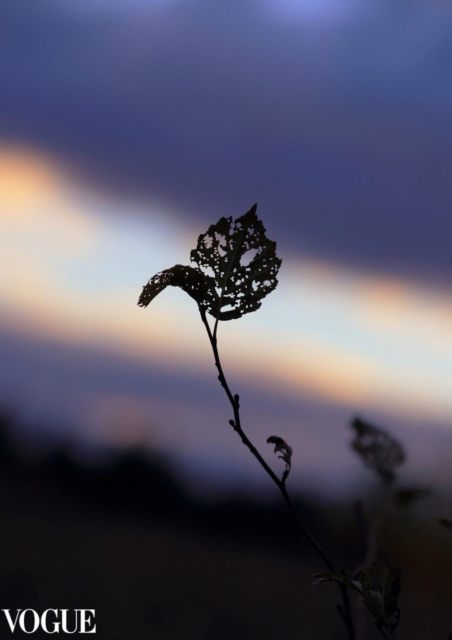 Видеофильм, рассказ о Родине, про дедушку, внучка и дедушку, гран-при. Профессиональный фотограф, фотохудожник, видеограф из Москвы