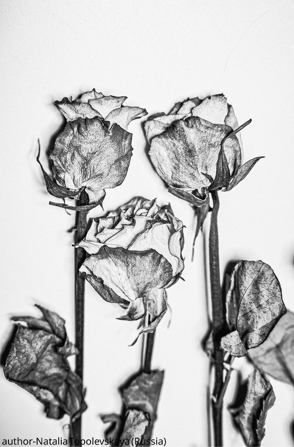 Gallery. UNUSUAL TALENT magazine