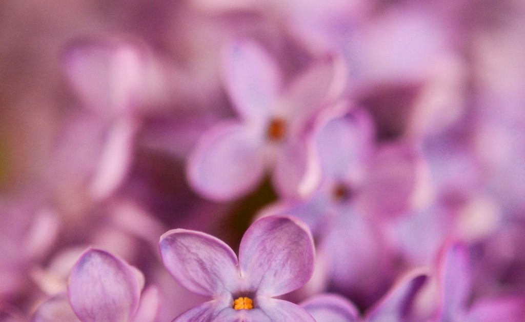 Фотограф в Хабаровске