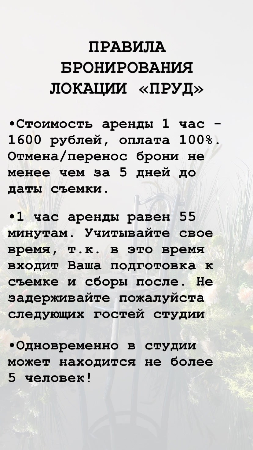 Контраст (бежица). Семейный и детский фотограф |Брянск| Анастасия Перепелкина