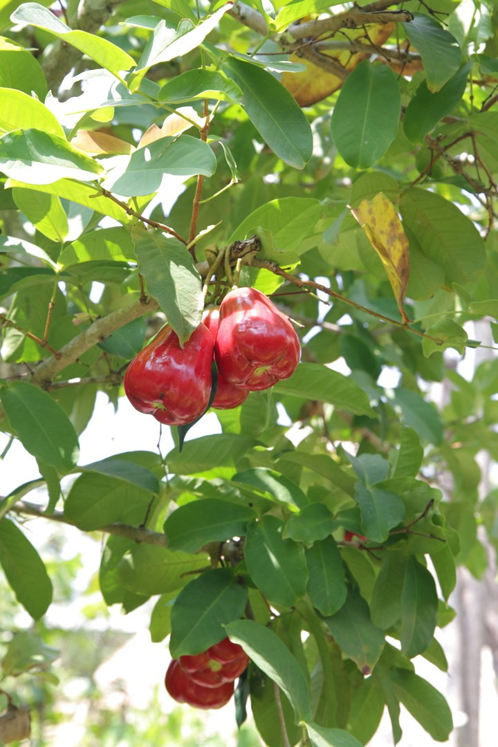 Тайланд 2014 г. Улица, люди, жизнь…