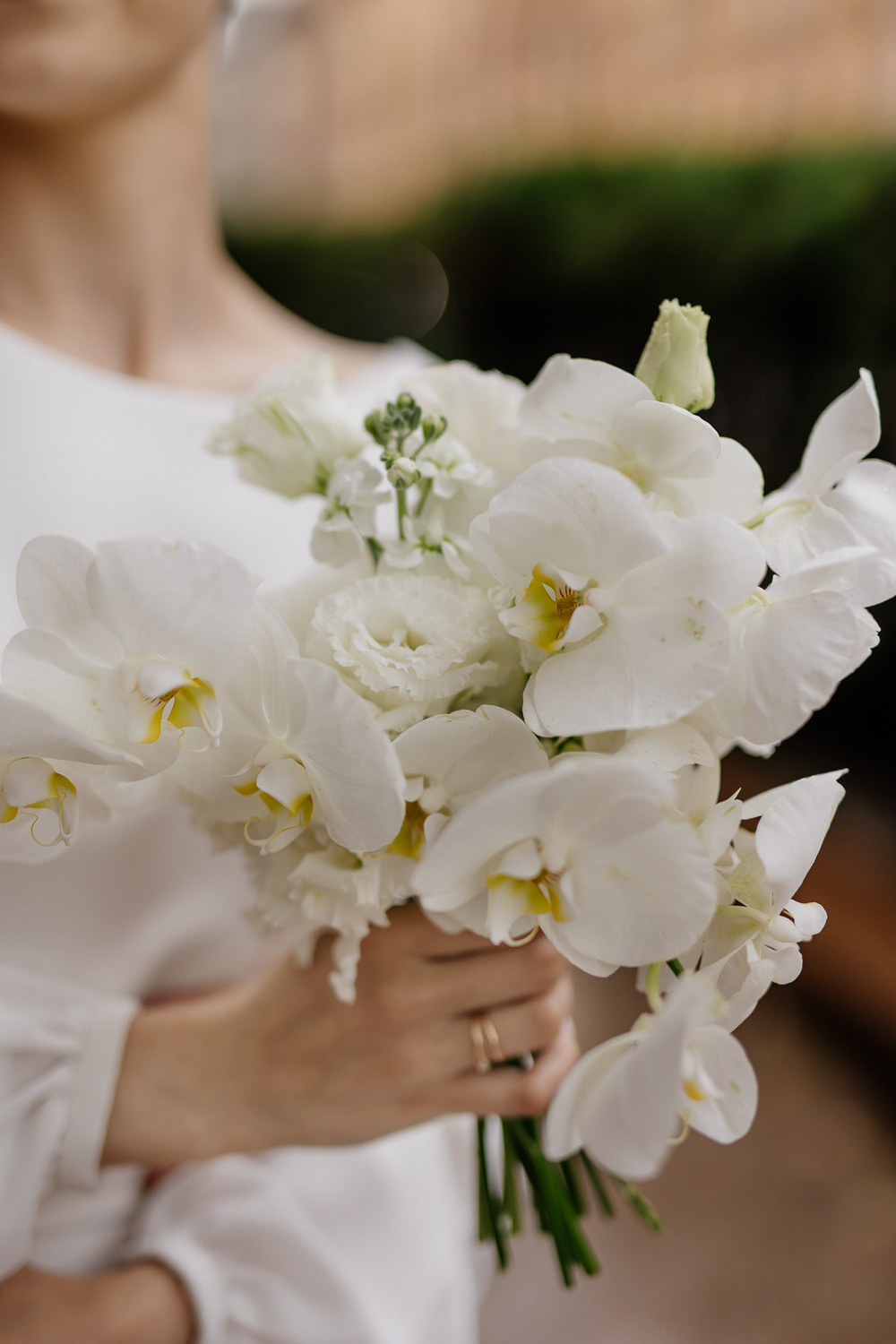 ЕВГЕНИЙ и КРИСТИНА. Свадебный салон-ателье Бонжур в Минске Bonjour