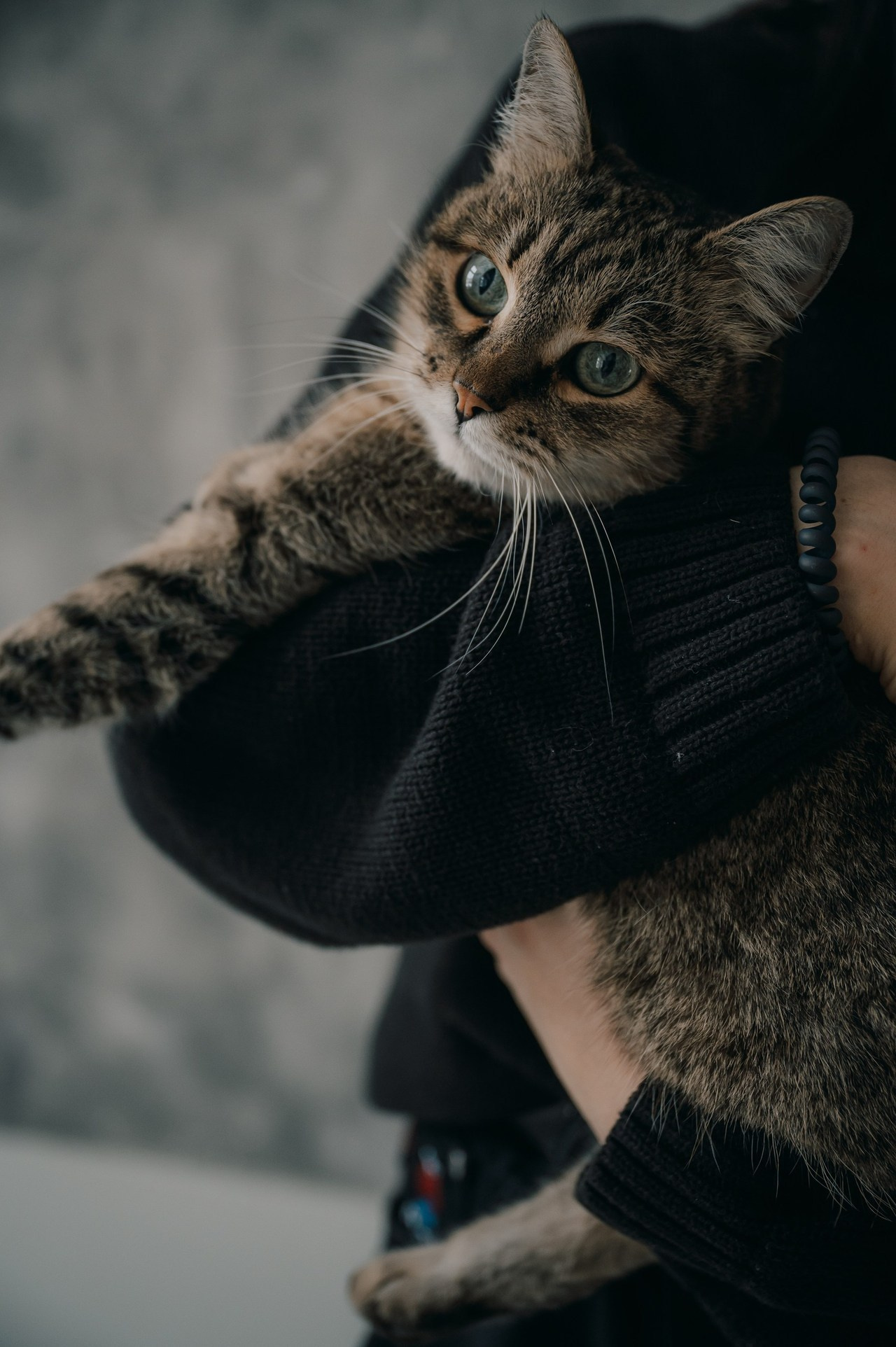 Отзывы. Фотограф Сафронова Татьяна